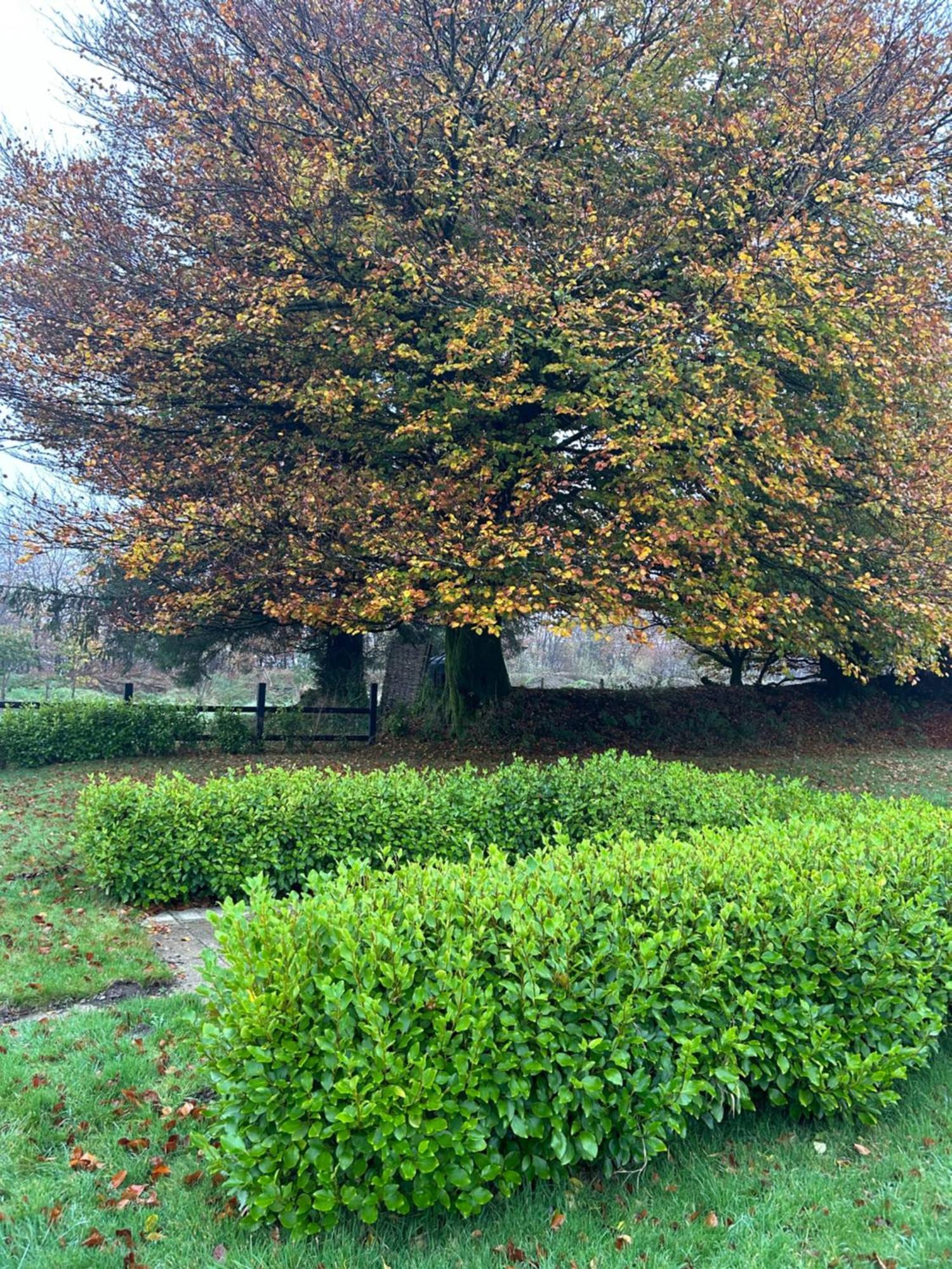 Winstitchen Cottage Simonsbath Exteriér fotografie